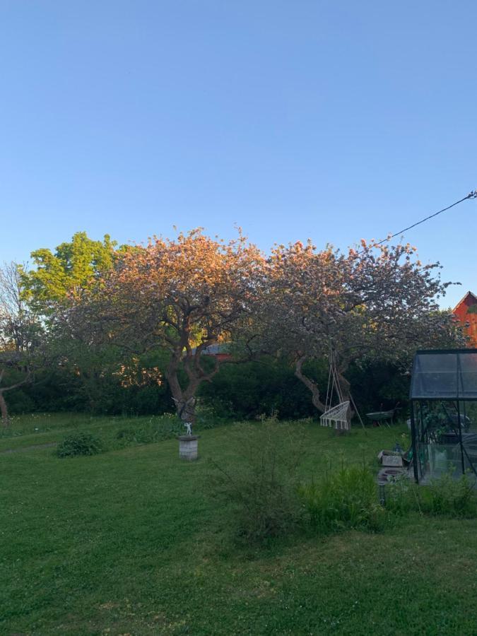 Martebo Bed & Breakfast Tingstade Екстер'єр фото
